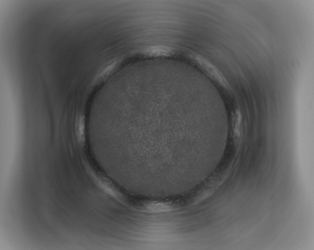 X0000113040494200909031315