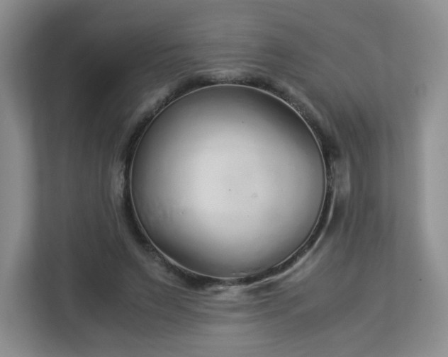 X0000113040495200909031315