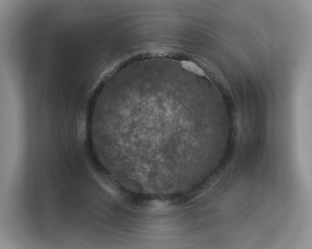 X0000113040496200909031315