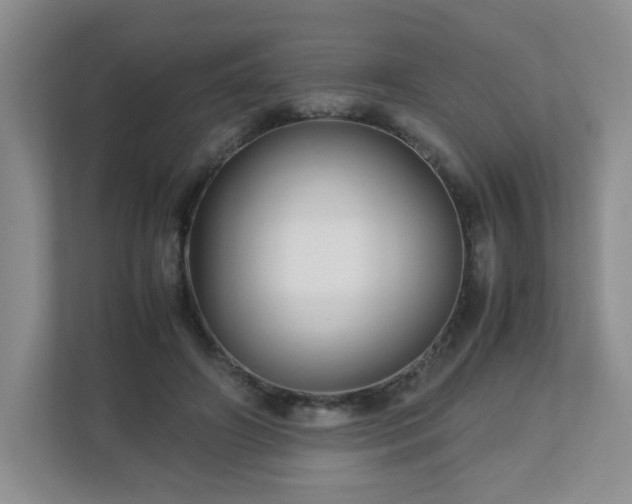 X0000113040498200909031315