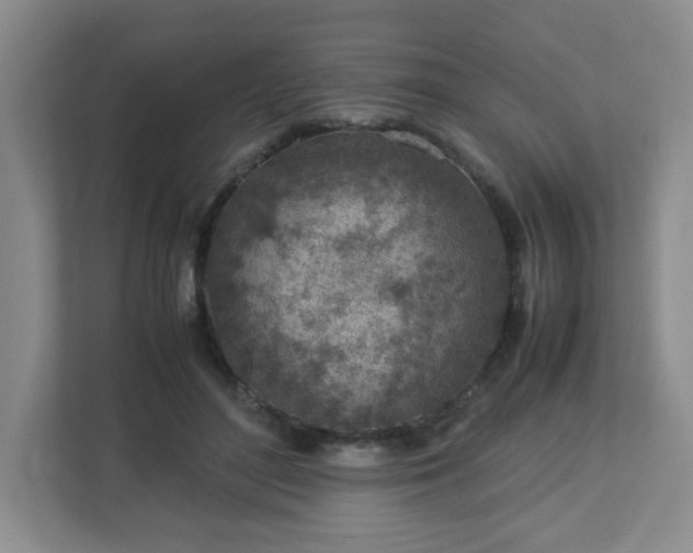 X0000113040500200909031315