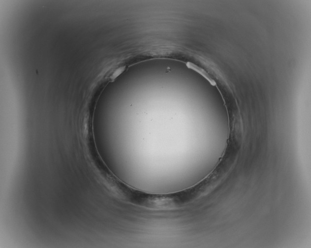 X0000113040501200909031314