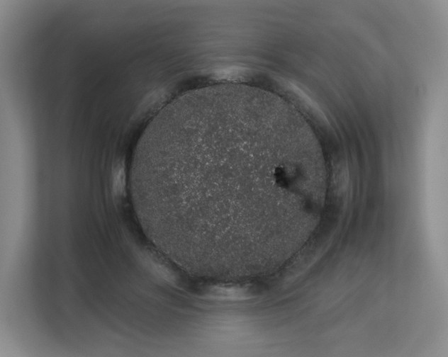 X0000113040502200909031314