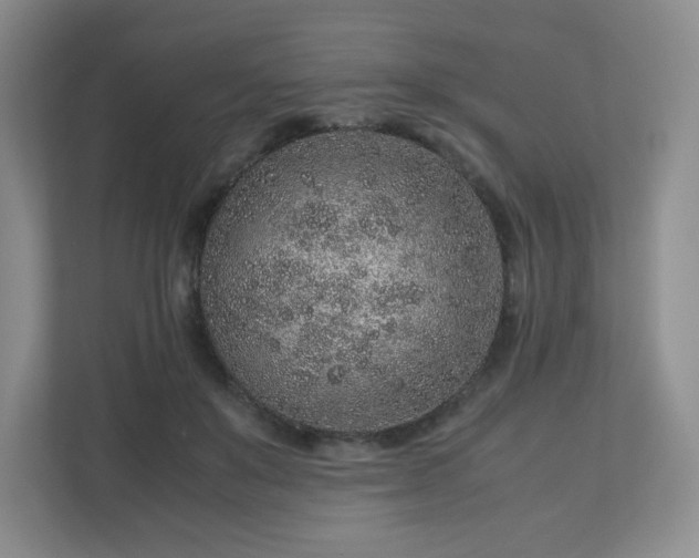 X0000113040503200909031314