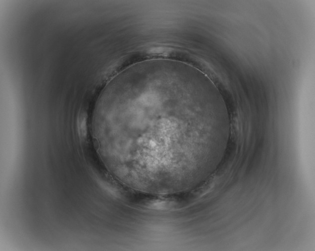 X0000113040504200909031314