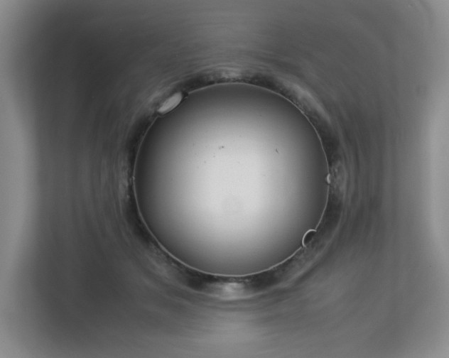 X0000113040509200909031314