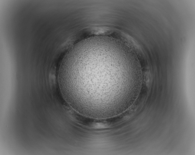 X0000113040510200909031314