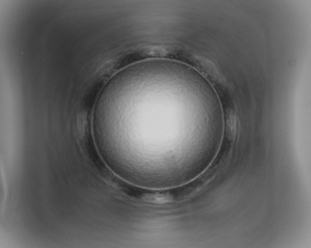 X0000113040511200909031314