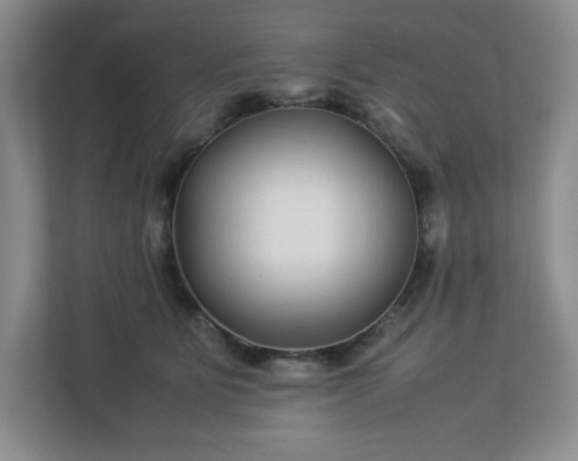 X0000113040515200909031314