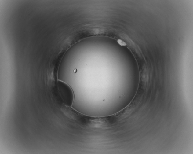 X0000113040516200909031314