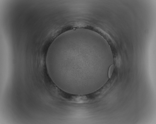 X0000113040517200909031314