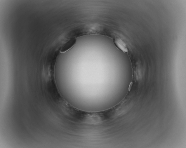 X0000113040520200909031314