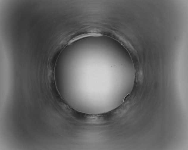 X0000113040521200909031314