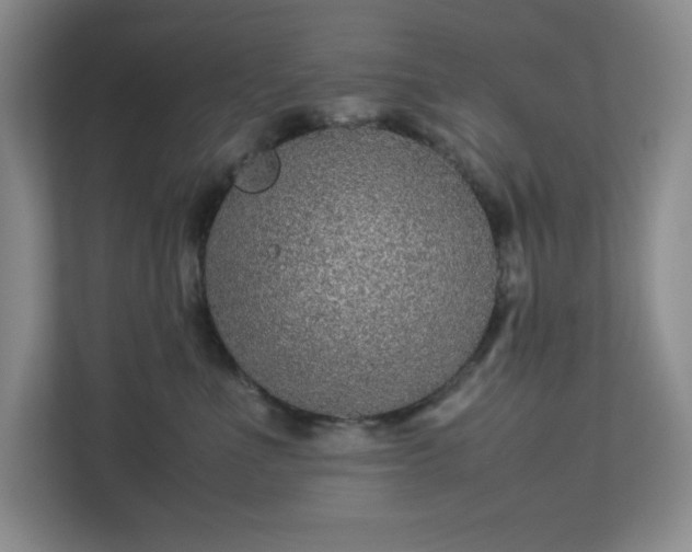 X0000113040523200909031314