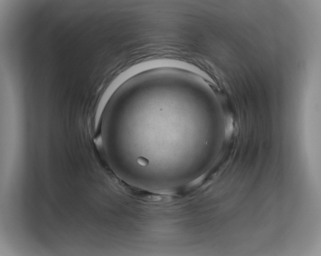 X0000113040524200909031314