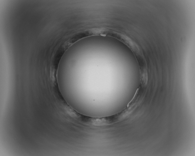 X0000113040525200909031314