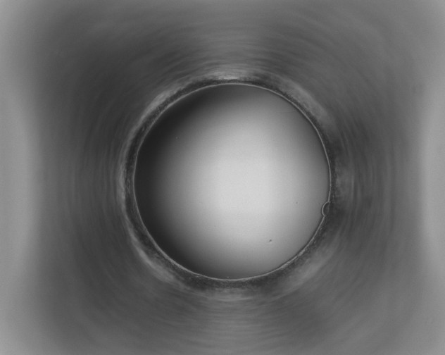 X0000113040530200909031314