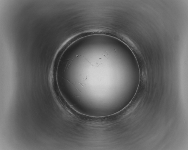 X0000113040532200909031314