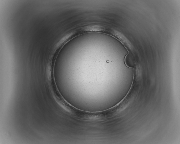 X0000113040533200909031314