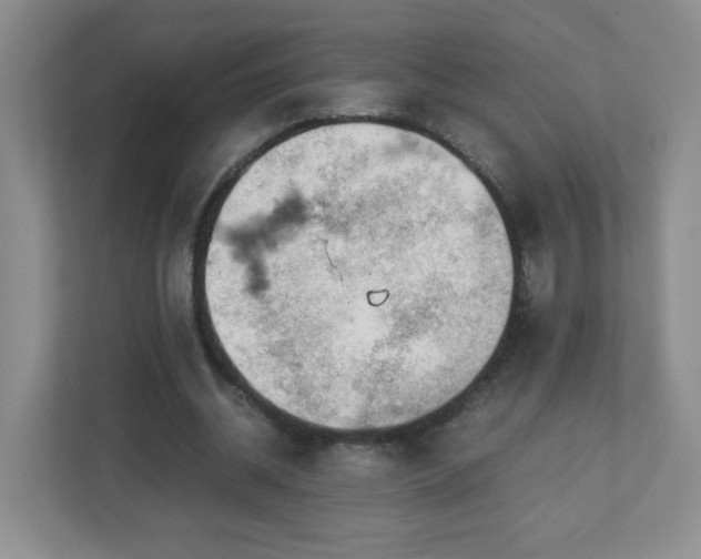 X0000113040534200909031314