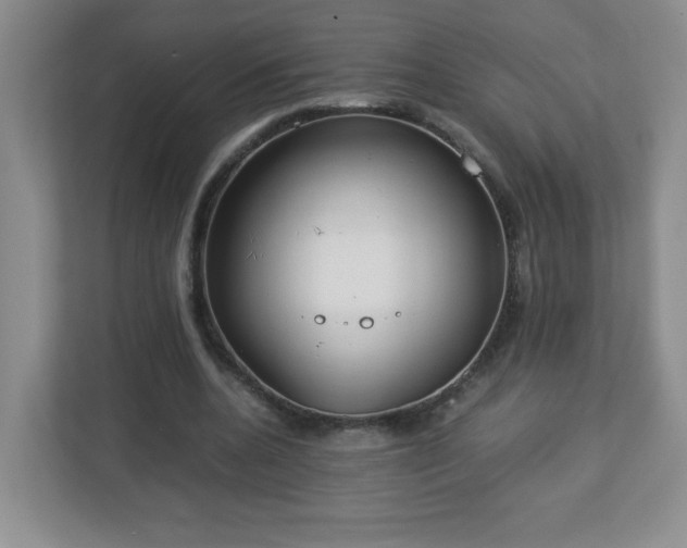 X0000113040536200909031314