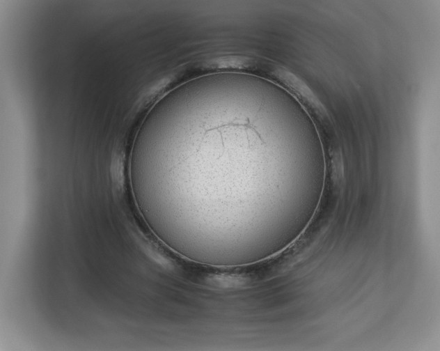 X0000113040537200909031314