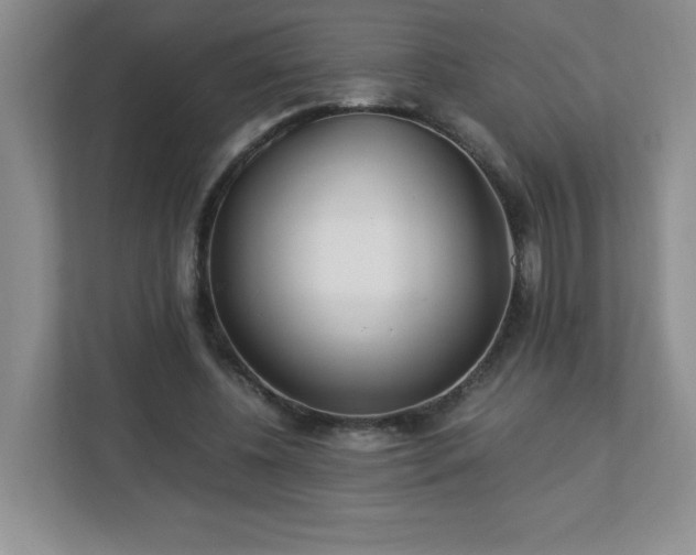 X0000113040540200909031314