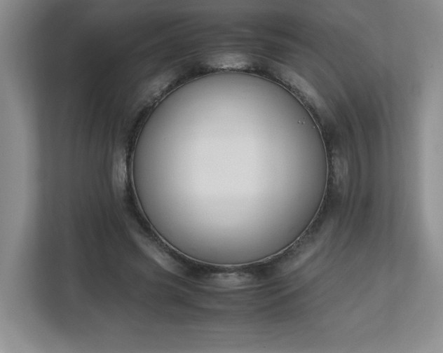 X0000113040541200909031314