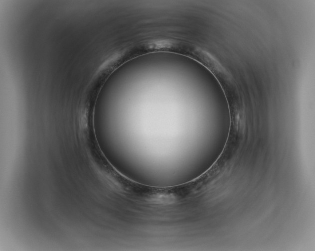 X0000113040543200909031314