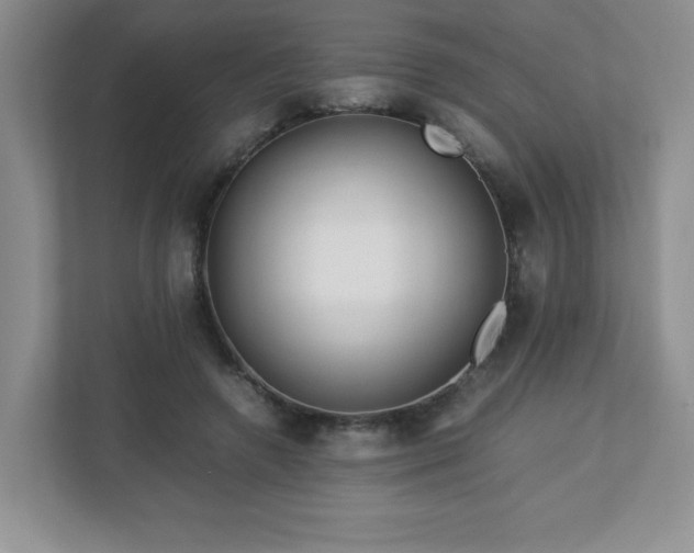 X0000113040546200909031314