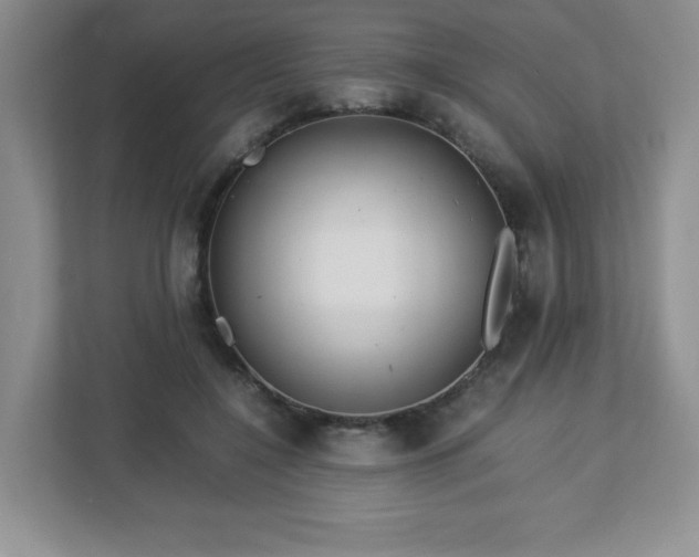 X0000113040548200909031314