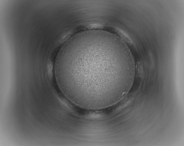 X0000113040550200909031314