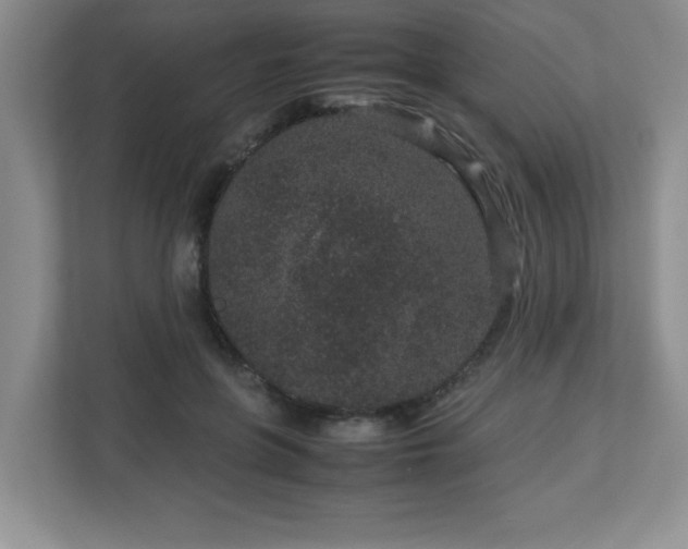 X0000113040551200909031314