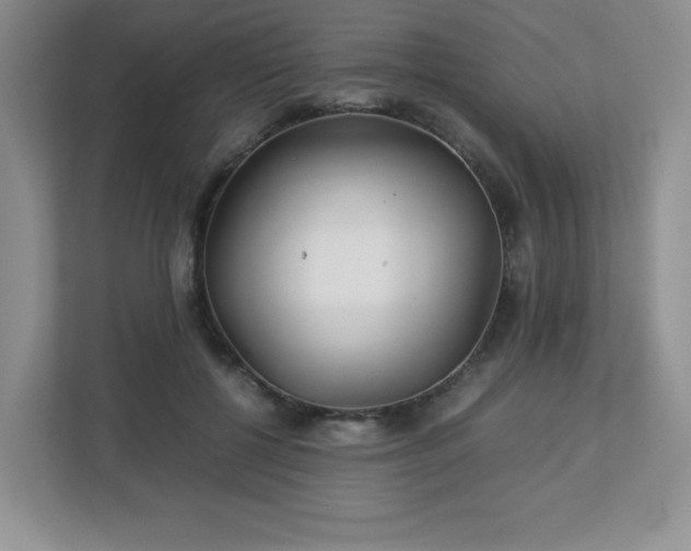 X0000113040552200909031314