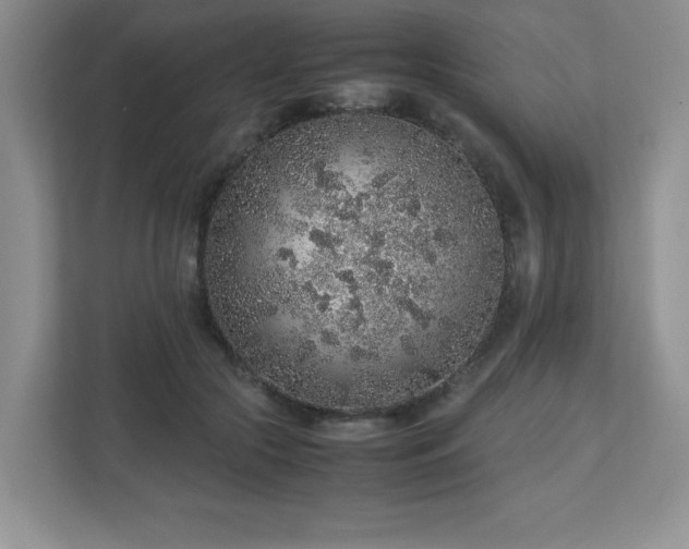 X0000113040553200909031314