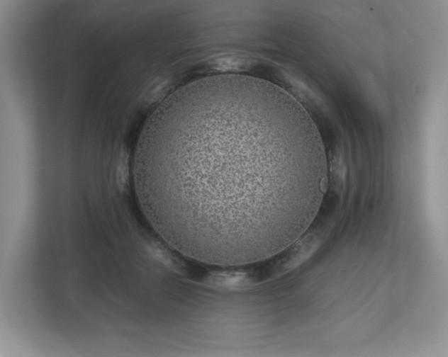 X0000113040554200909031314