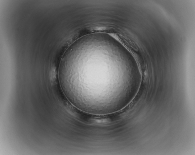 X0000113040555200909031314