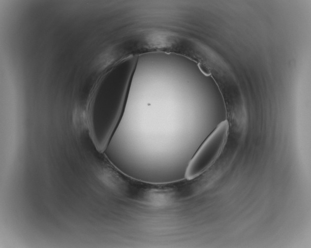 X0000113040556200909031314