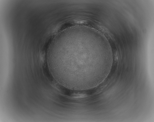 X0000113040559200909031314