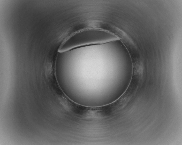 X0000113040560200909031314