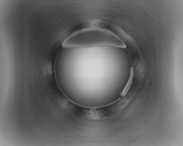 X0000113040562200909031314