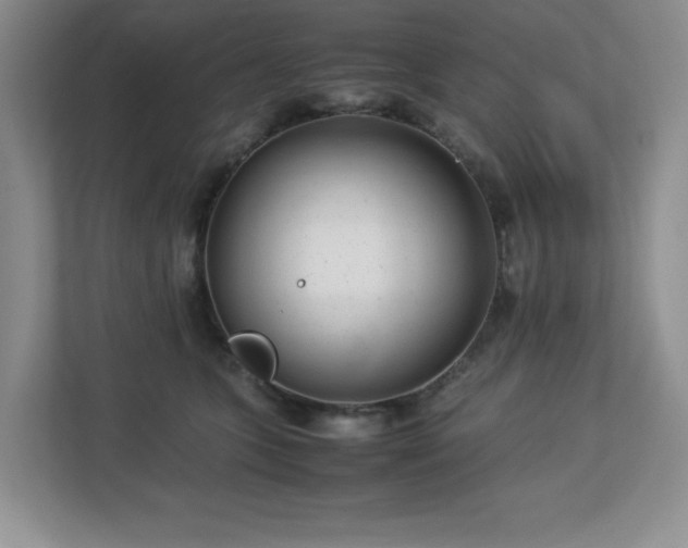 X0000113040563200909031314