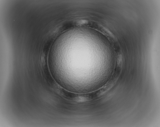 X0000113040565200909031314