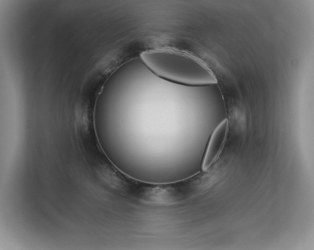 X0000113040566200909031314