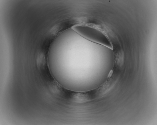 X0000113040568200909031314