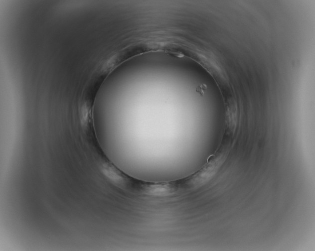 X0000113040574200909031314