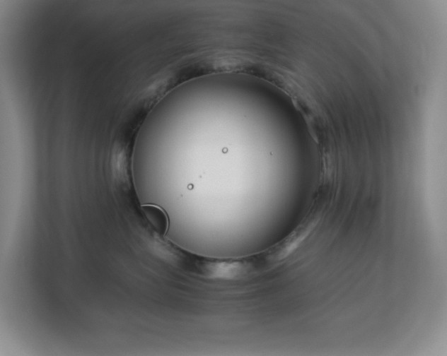 X0000113040575200909031314