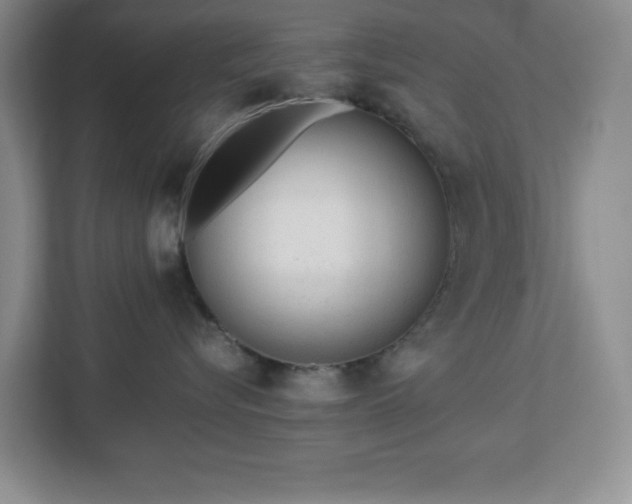 X0000113040576200909031314