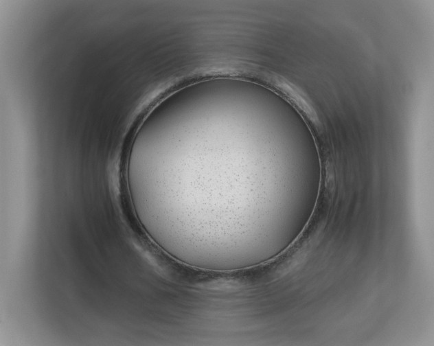 X0000113040578200909031313