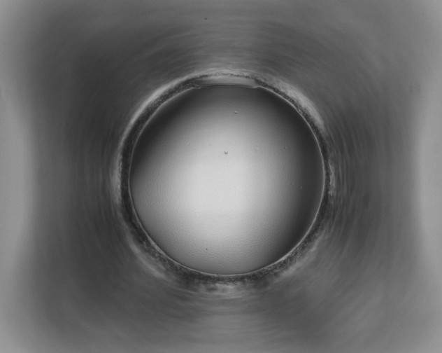 X0000113040580200909031313